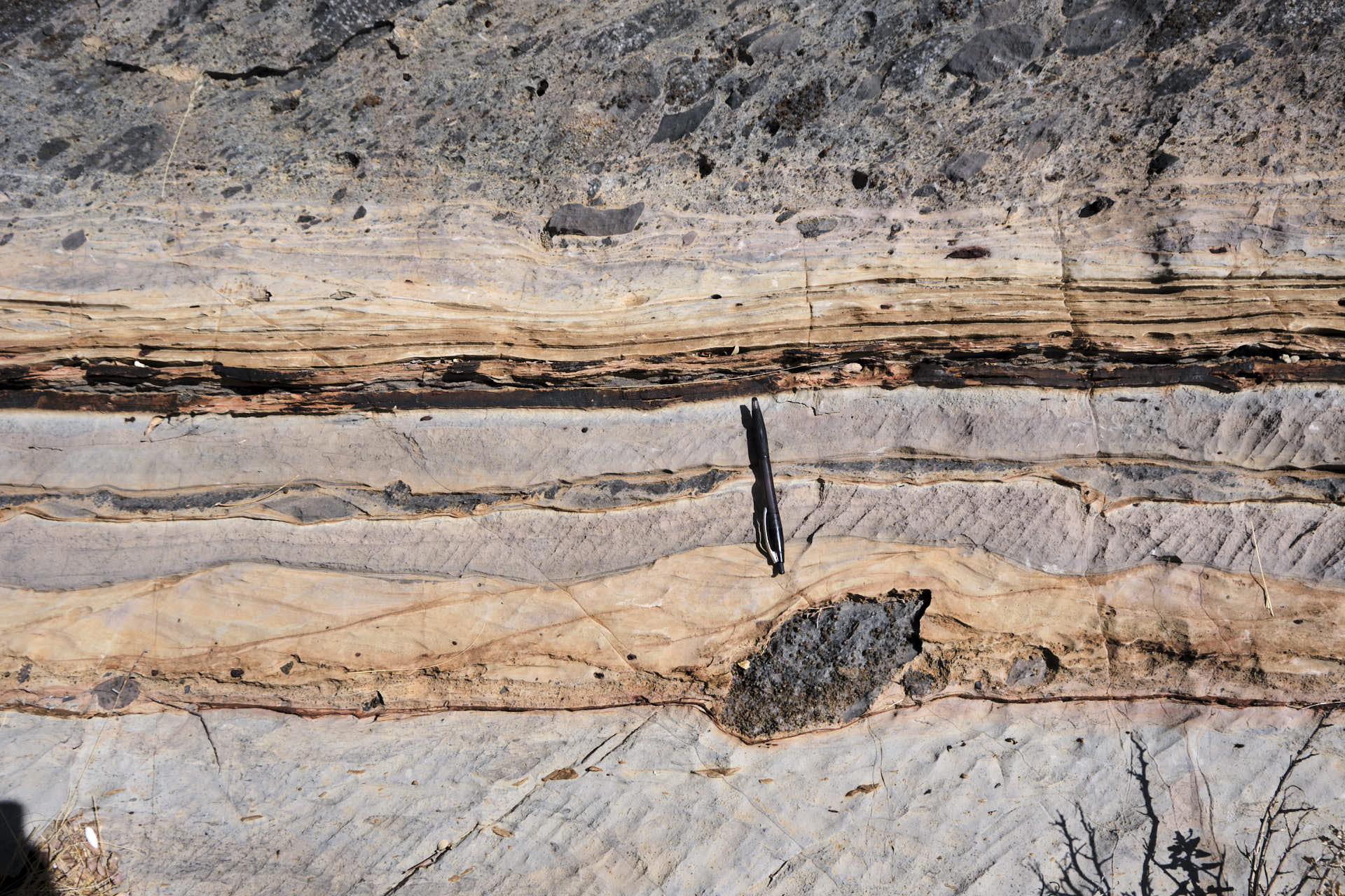 To lump or to split...stratified diamictite, including climbing ripples on a glacial dropstone in the Ghaub Formation at Fransfontein Ridge in Namibia.