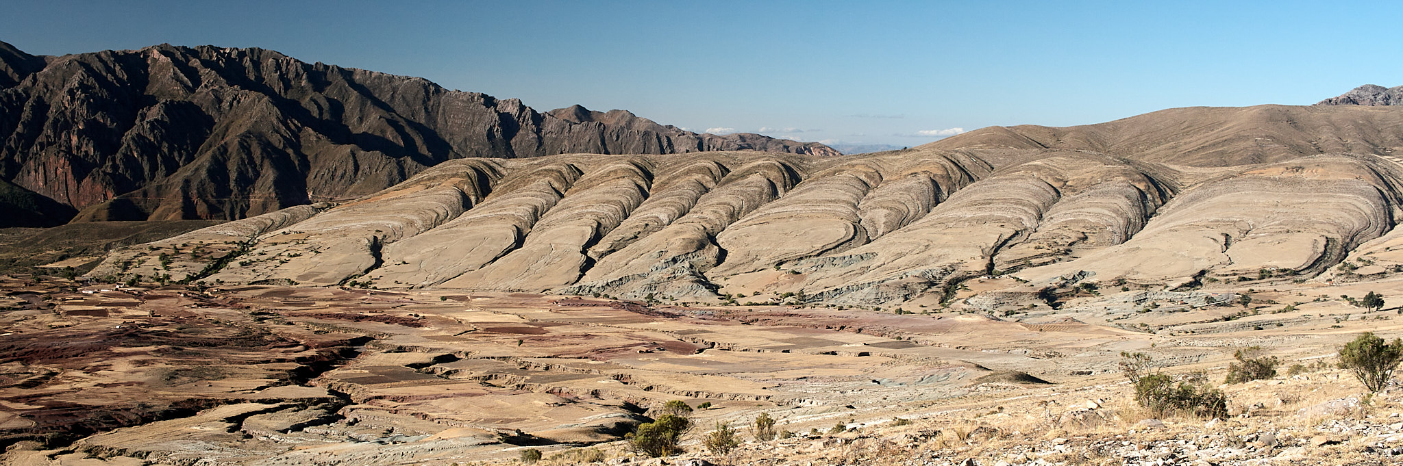 Scallops of the Upper El Molino Formation at Maragua, Bolivia. 2016