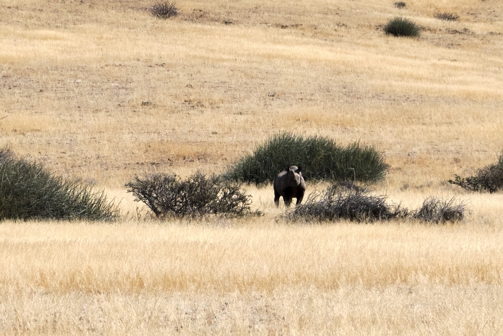 22 07 30 03 35 dscf0392